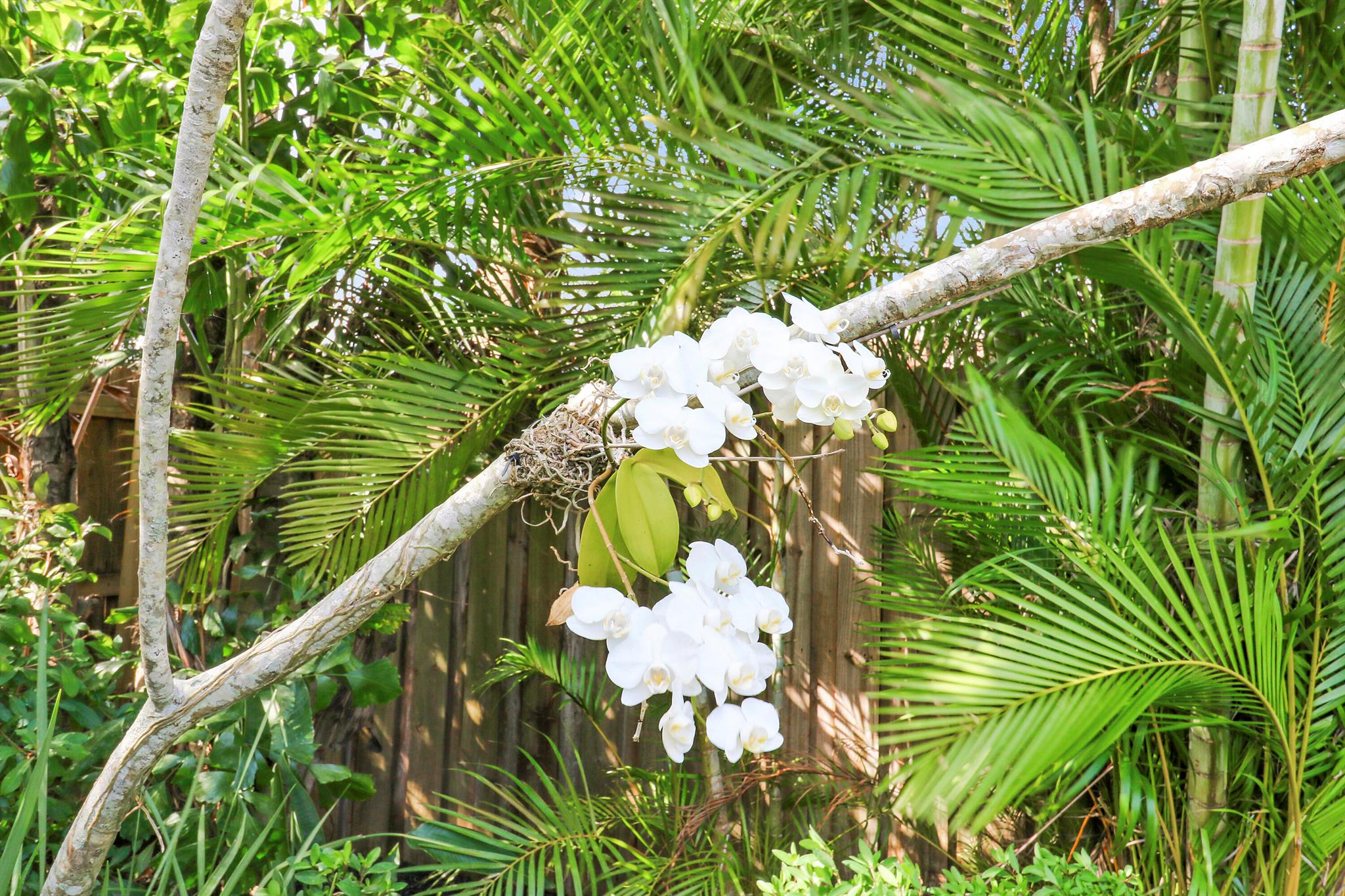 358 Country Club Drive