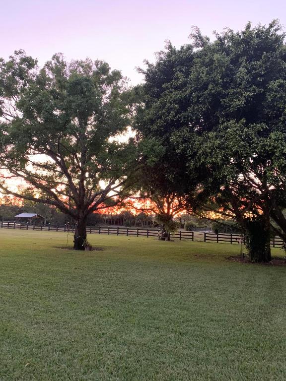 17270 Rocky Pines Road