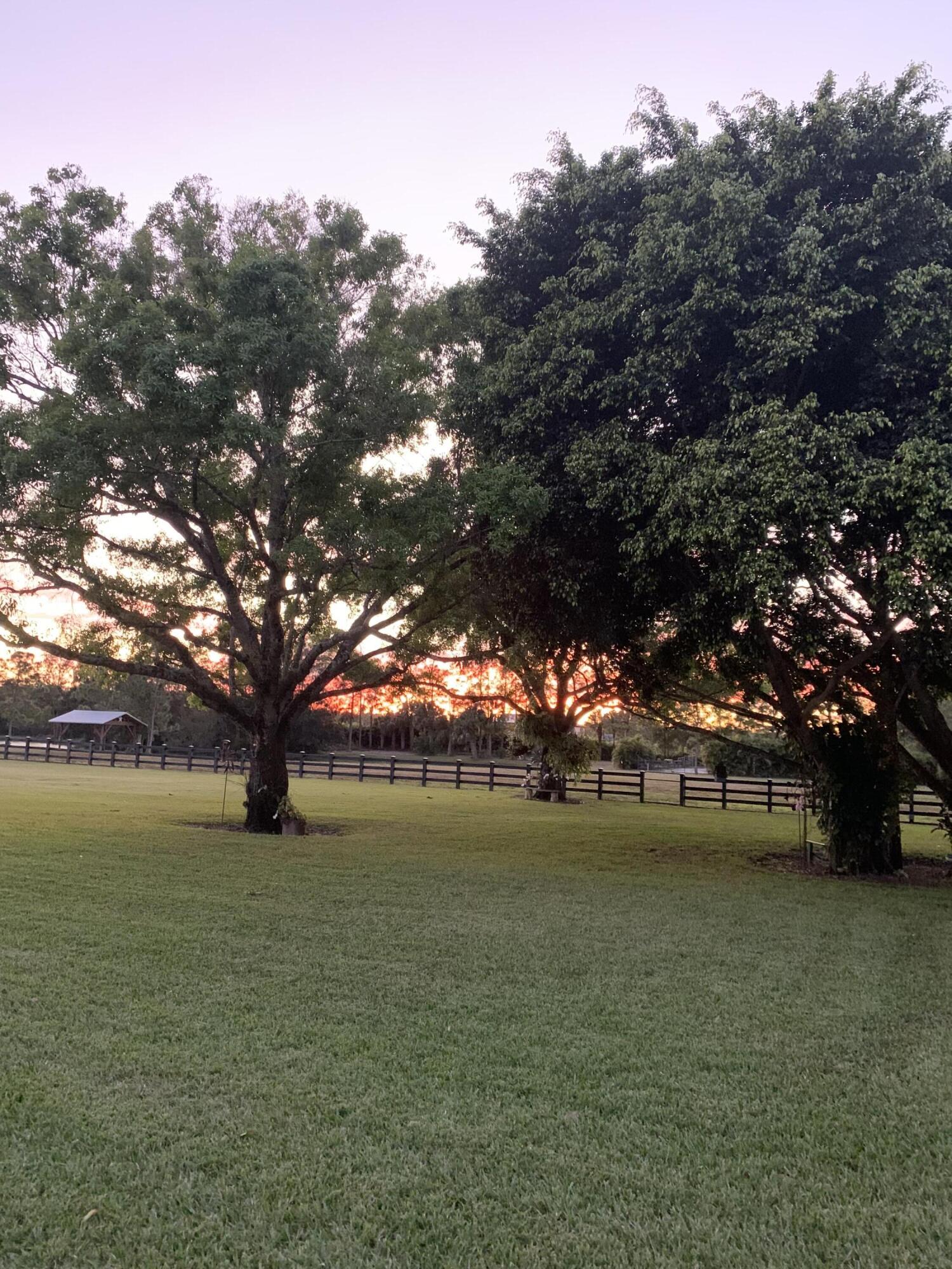 17270 Rocky Pines Road