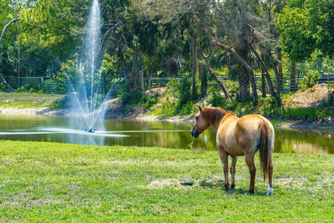 17270 Rocky Pines Road