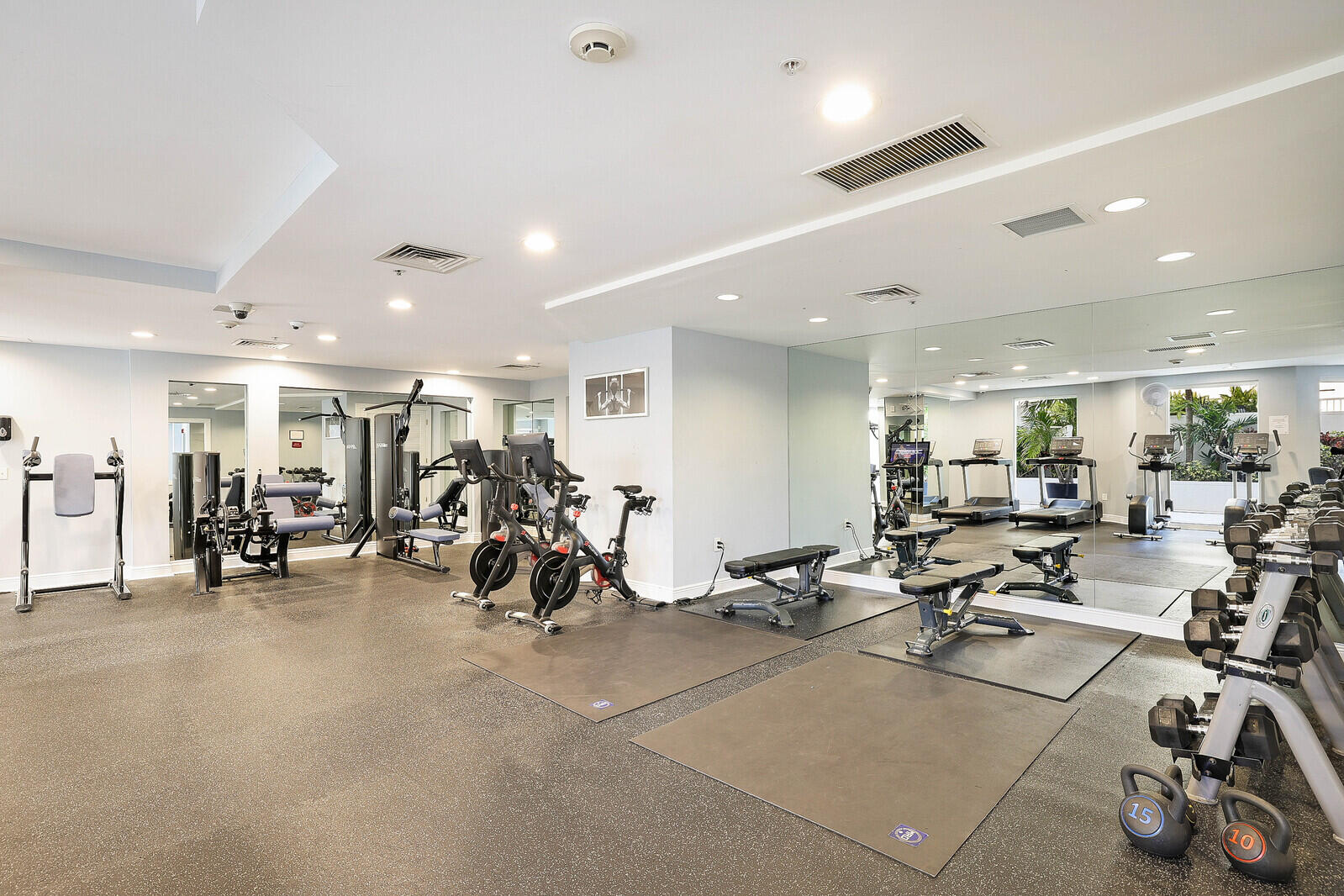 255 Evernia 1115 Street 1115