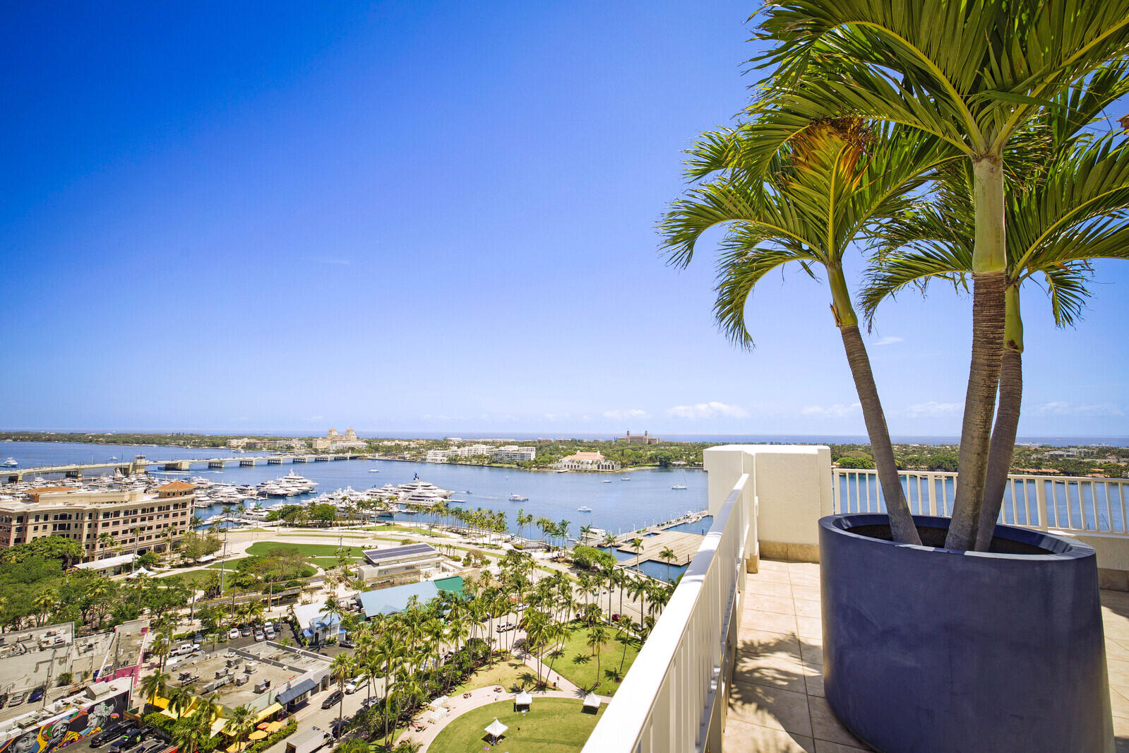 255 Evernia 1115 Street 1115