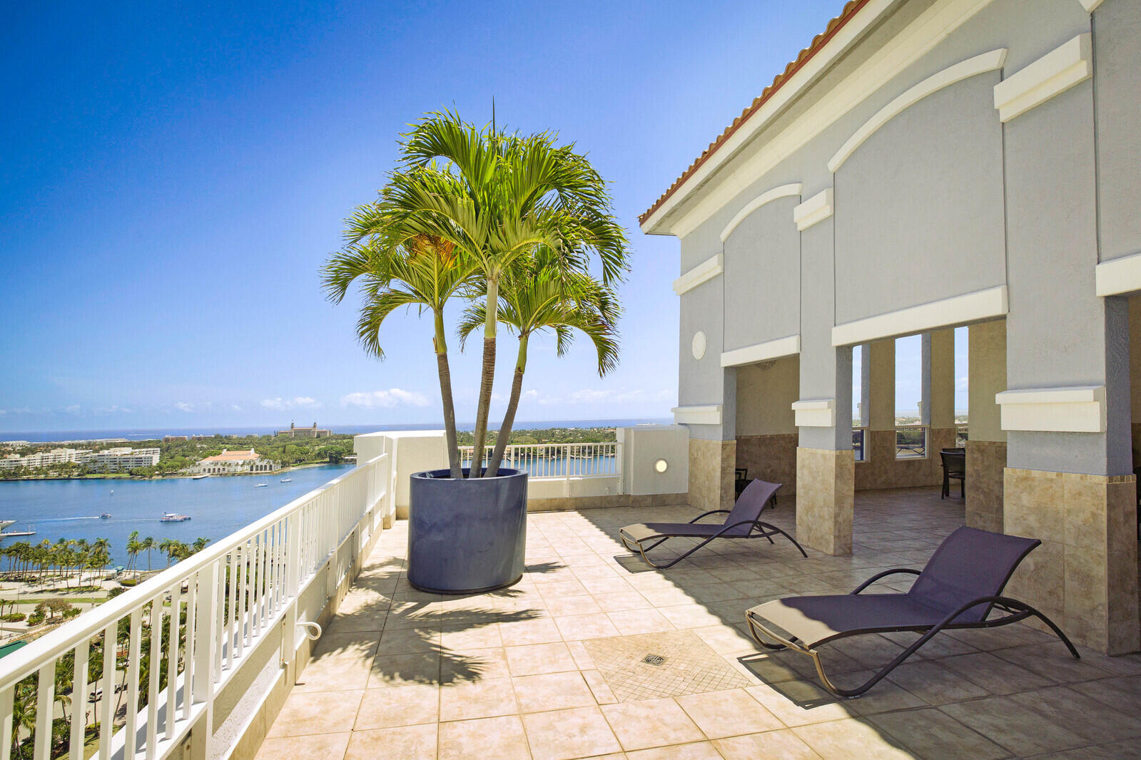 255 Evernia 1115 Street 1115