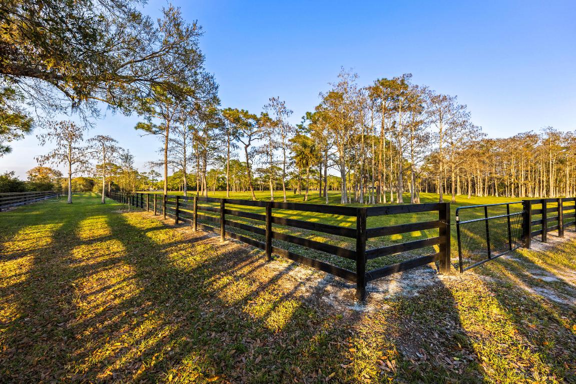 20000 Mack Dairy Road