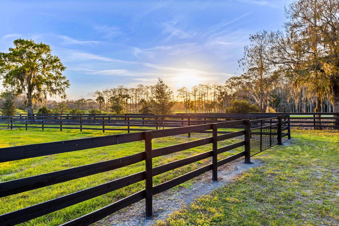 20000 Mack Dairy Road