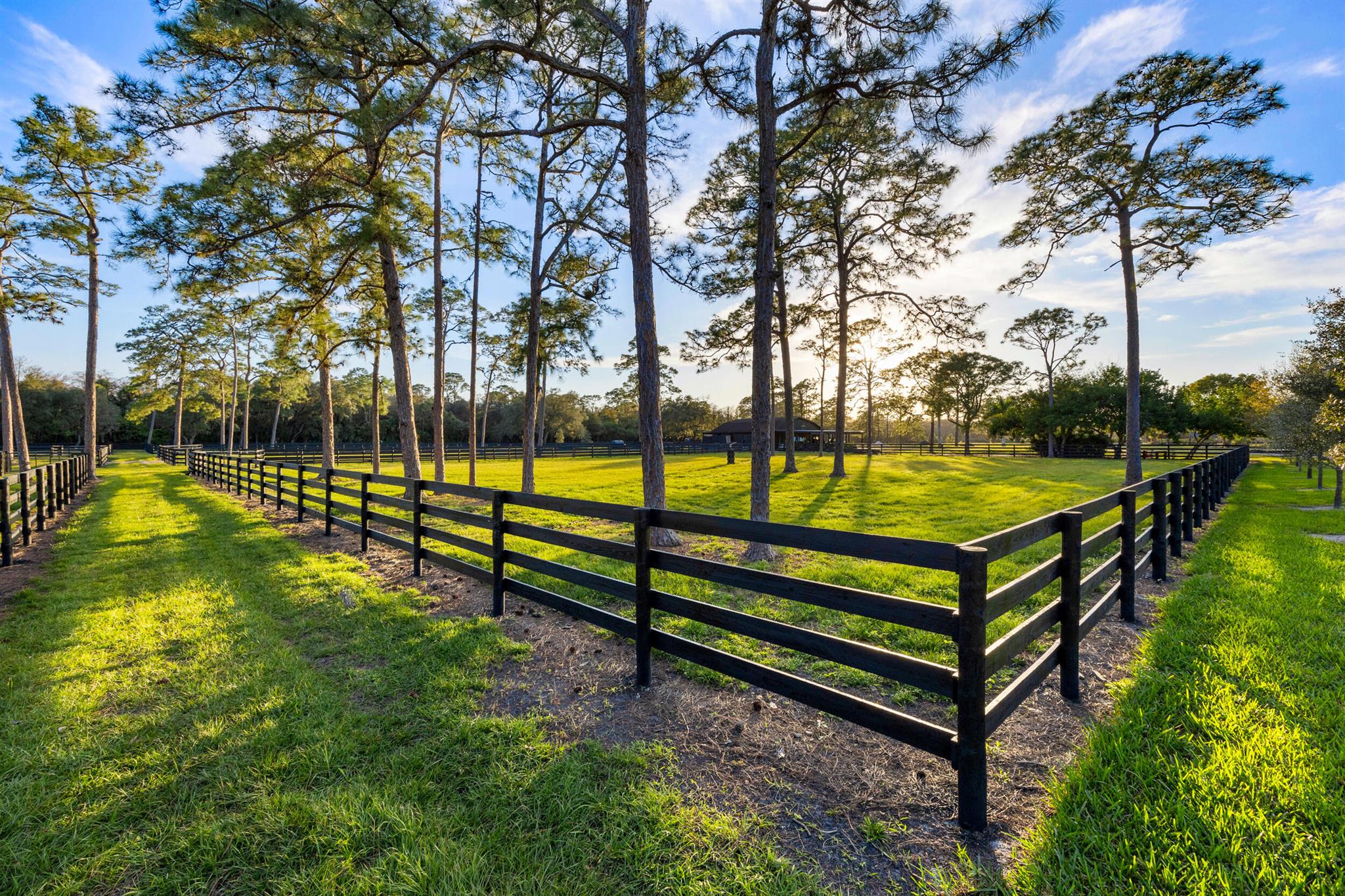 20000 Mack Dairy Road