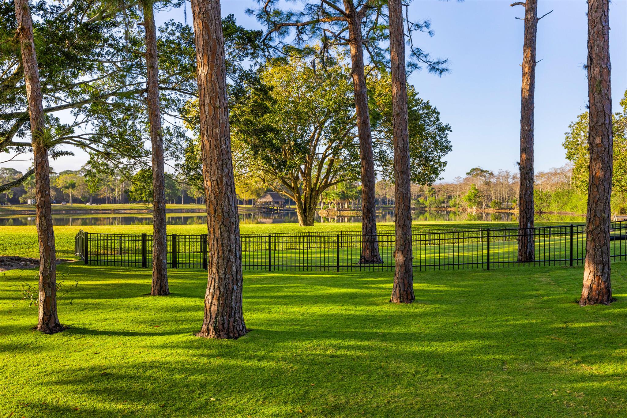 20000 Mack Dairy Road