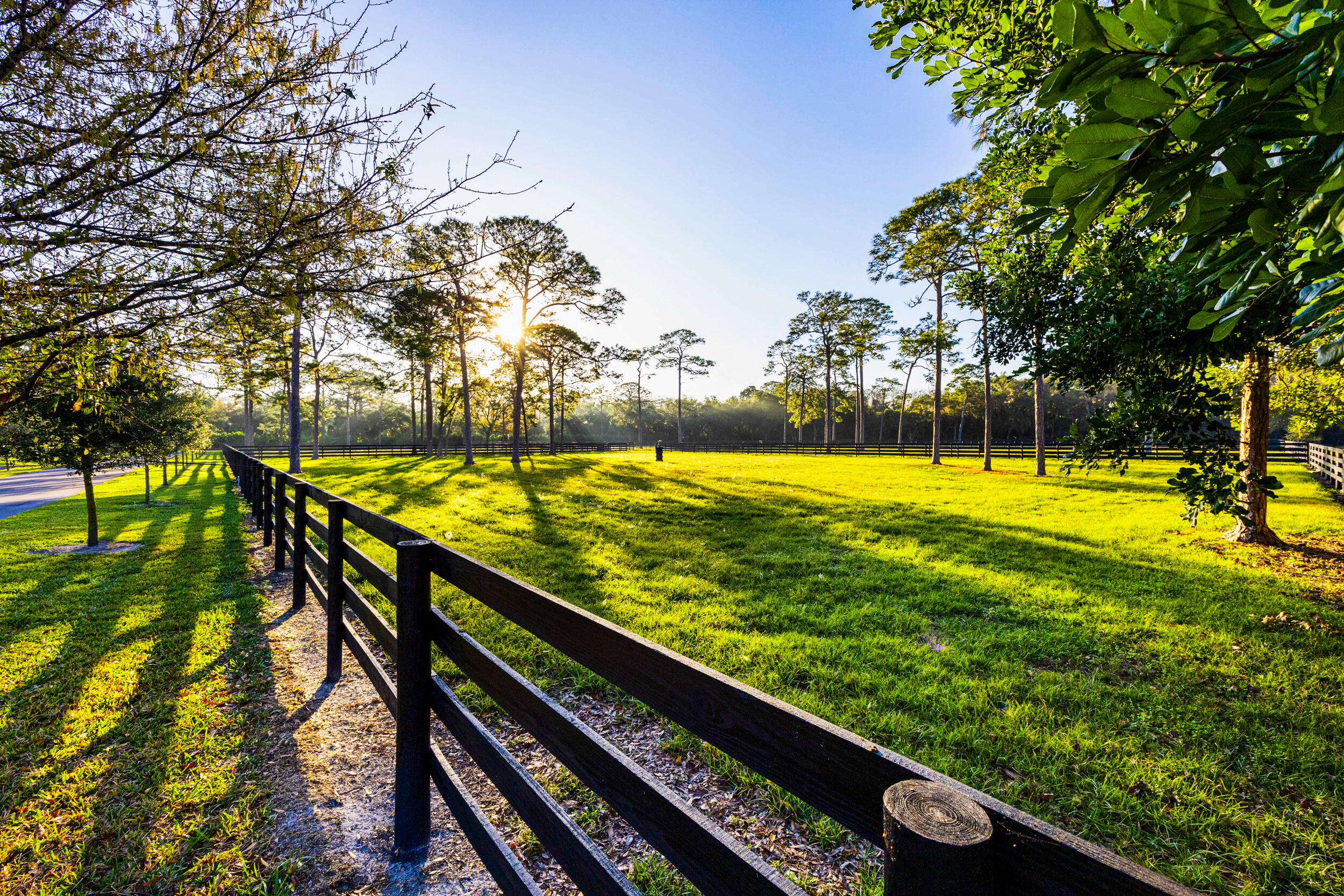 20000 Mack Dairy Road