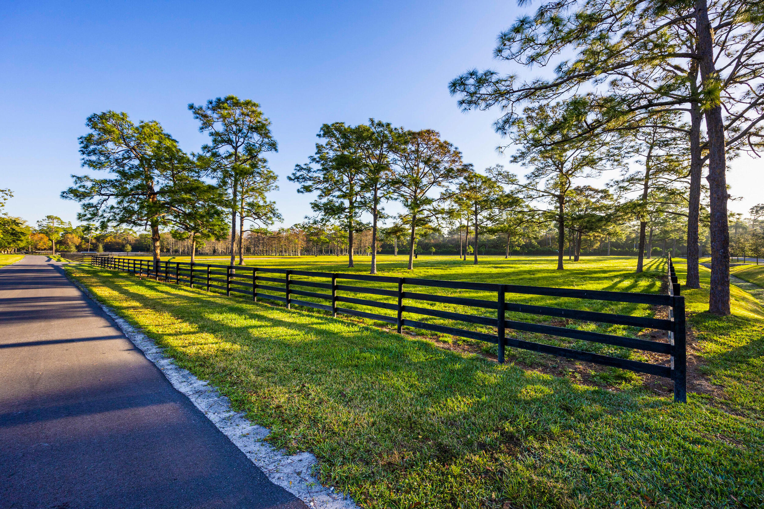 20000 Mack Dairy Road