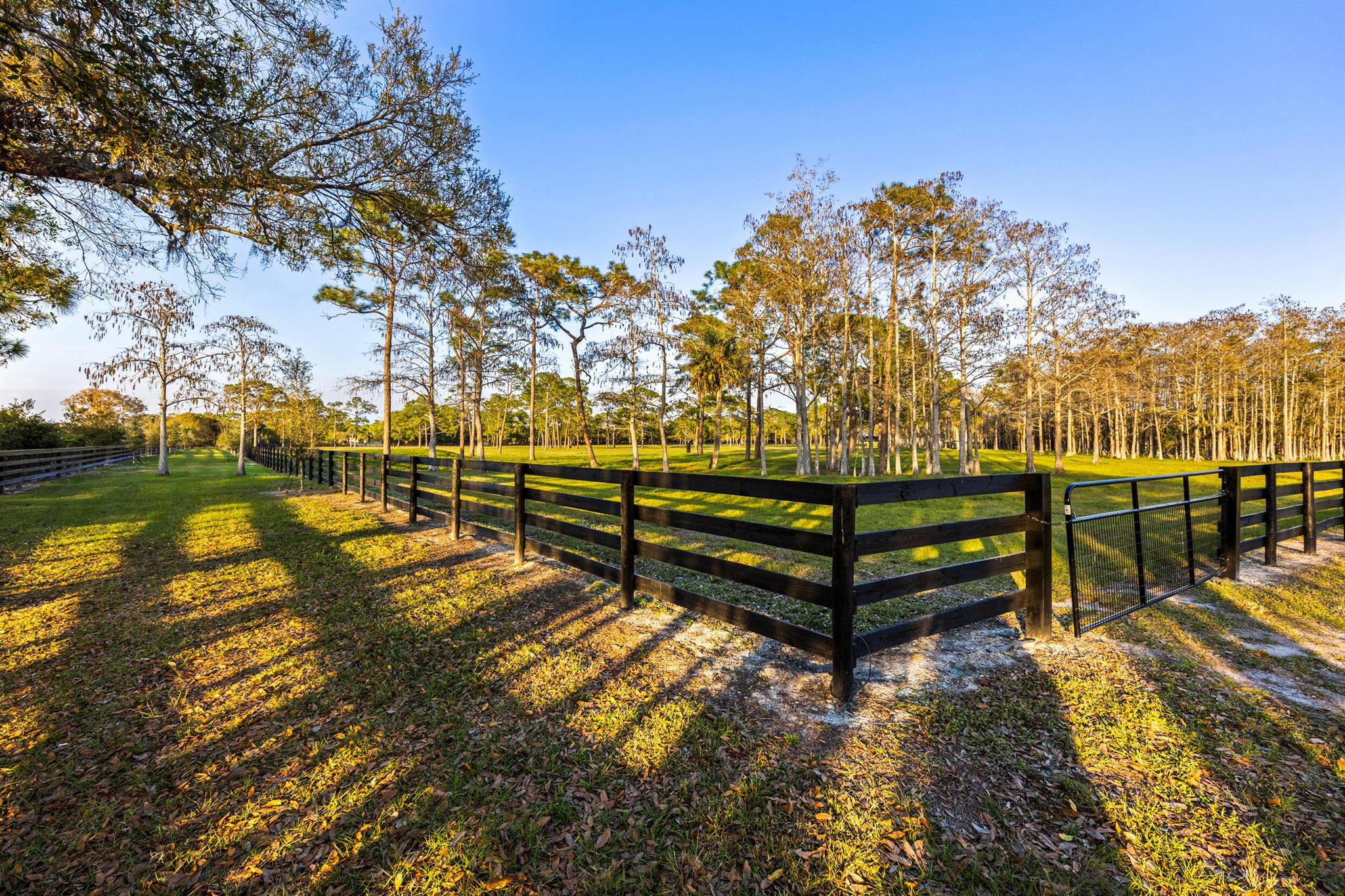 20000 Mack Dairy Road