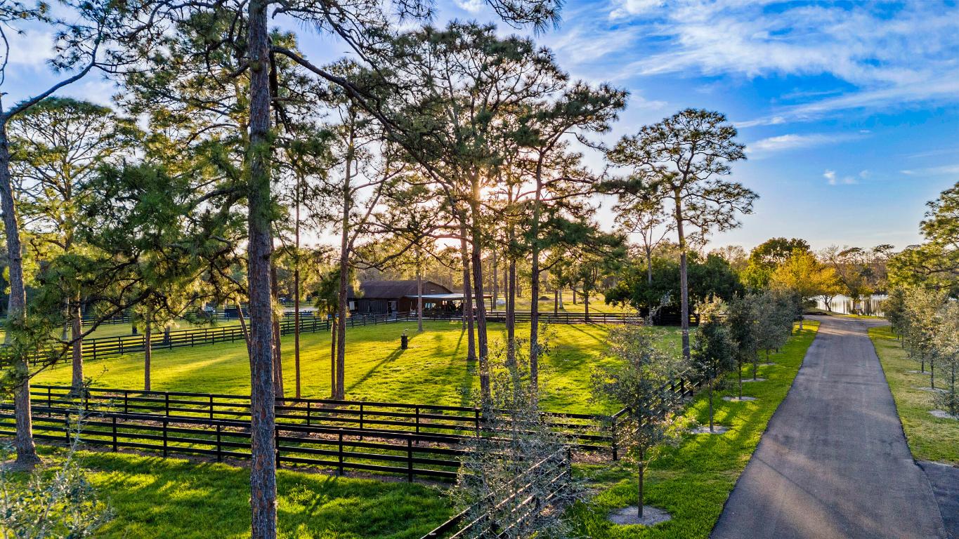 20000 Mack Dairy Road