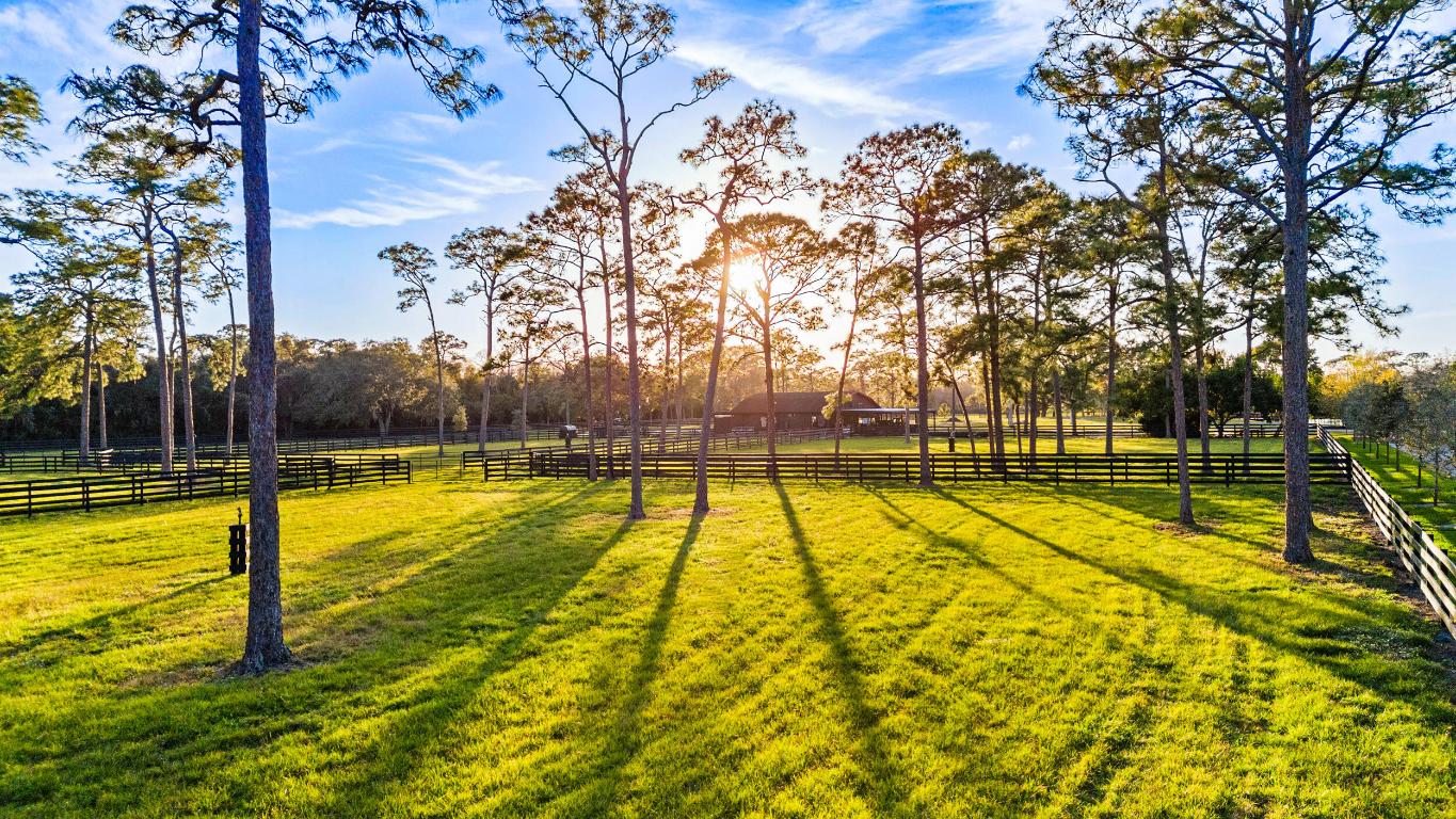 20000 Mack Dairy Road