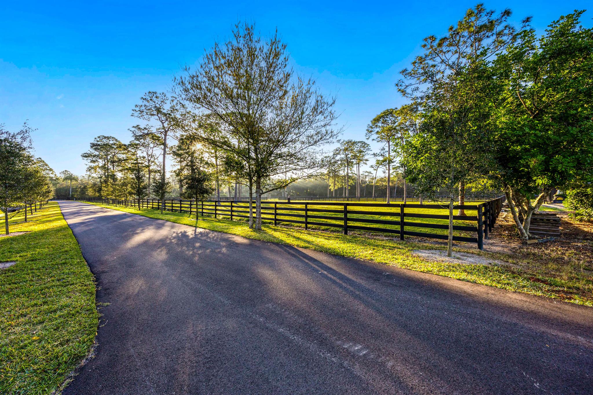 20000 Mack Dairy Road