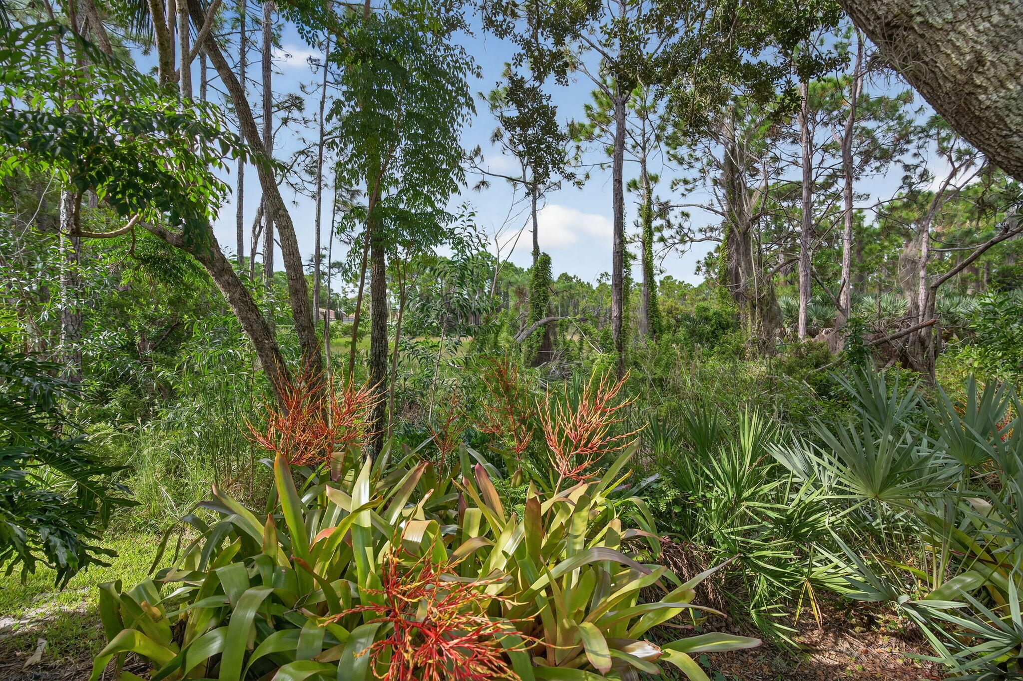 7880 SE Paurotis Lane