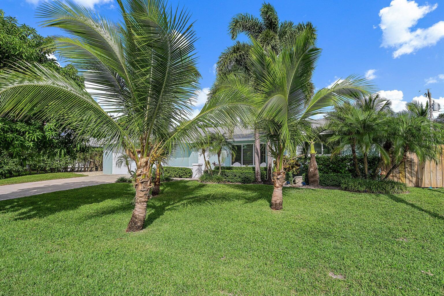356 Mars Avenue
