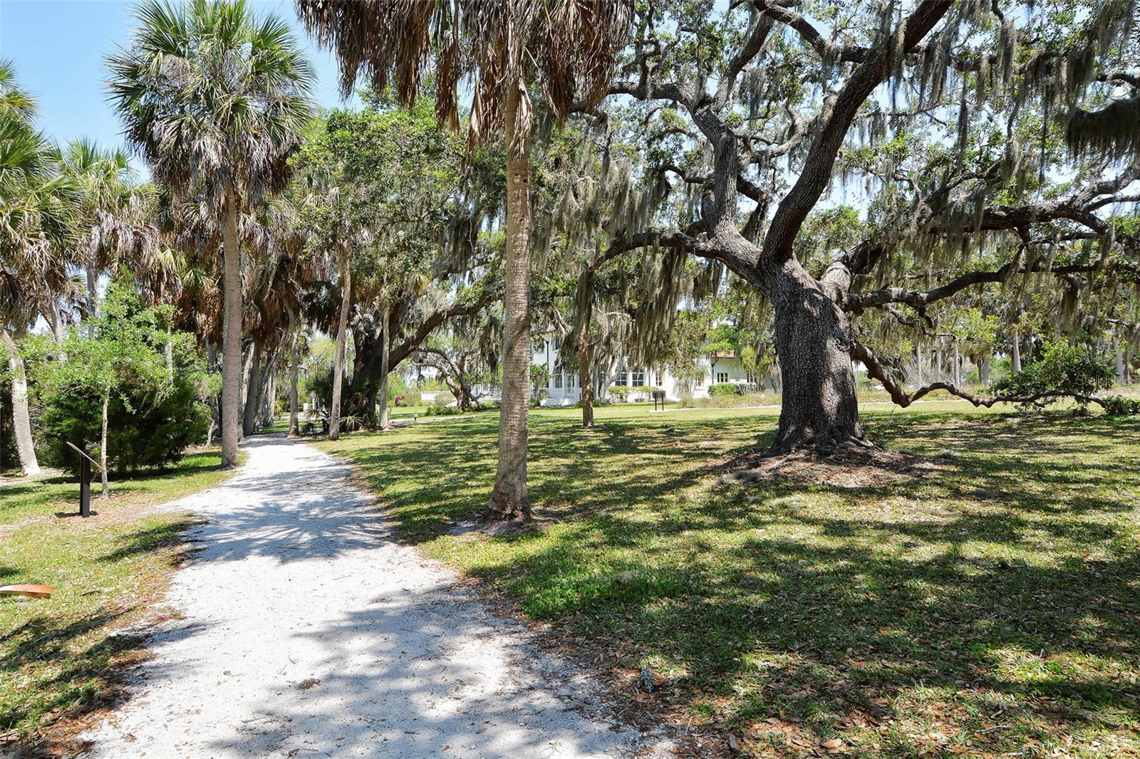 5531 CANNES CIR #503