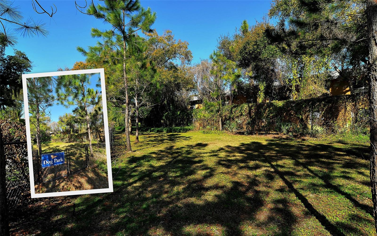 5531 CANNES CIR #503