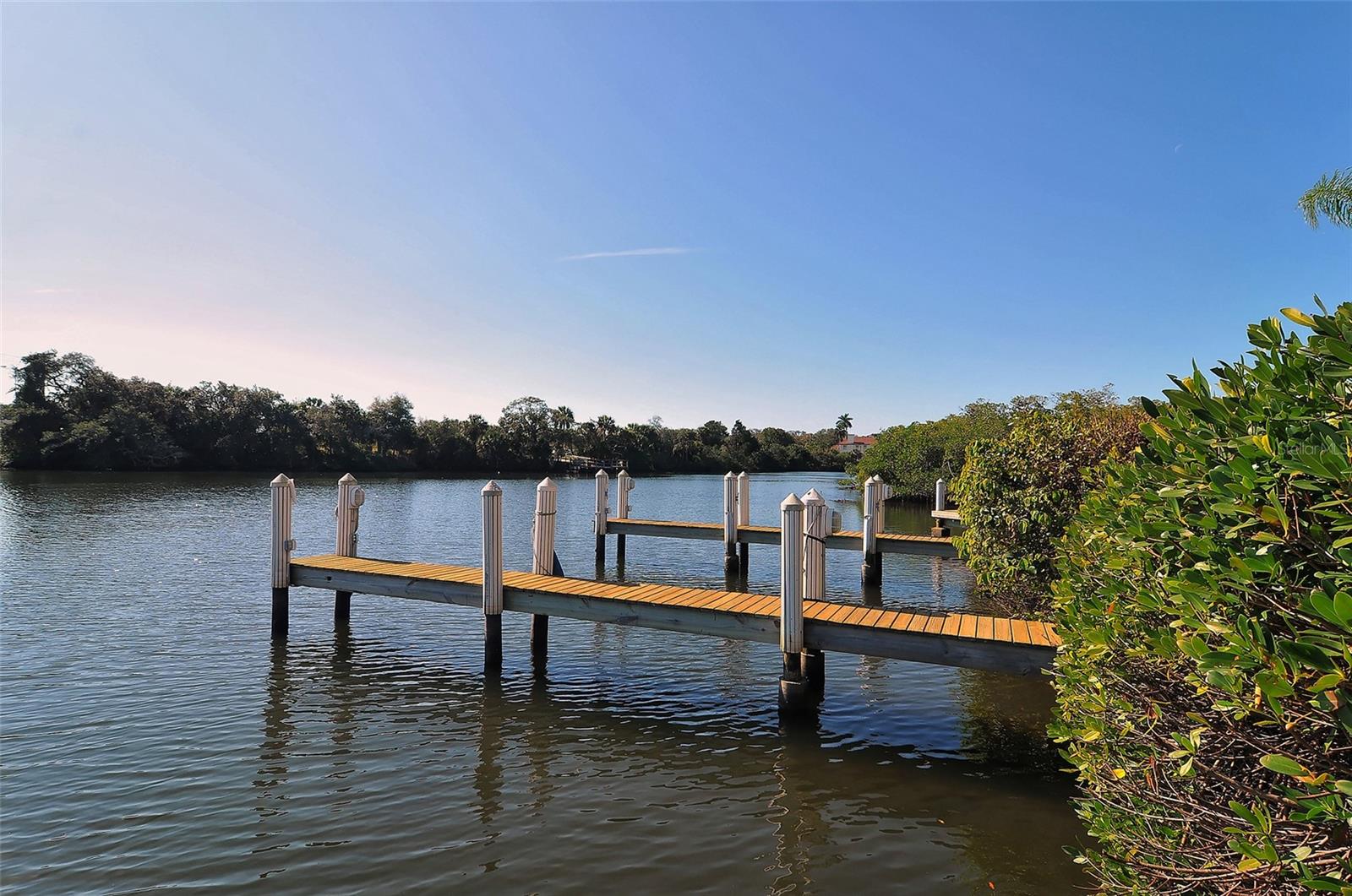 5531 CANNES CIR #503