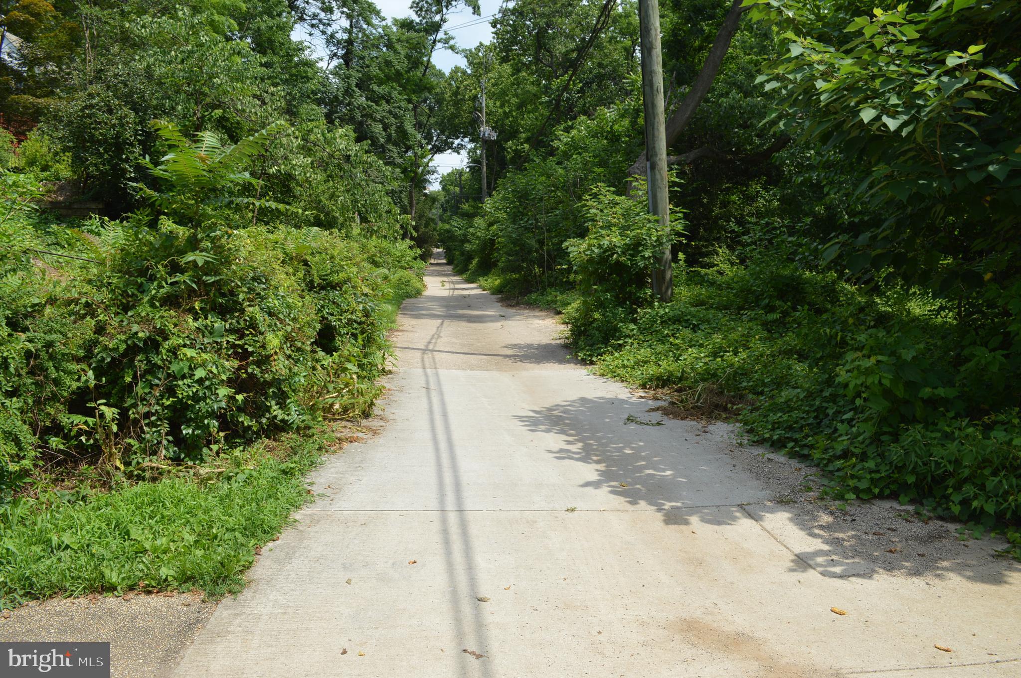 310 RIDGEMEDE RD #203