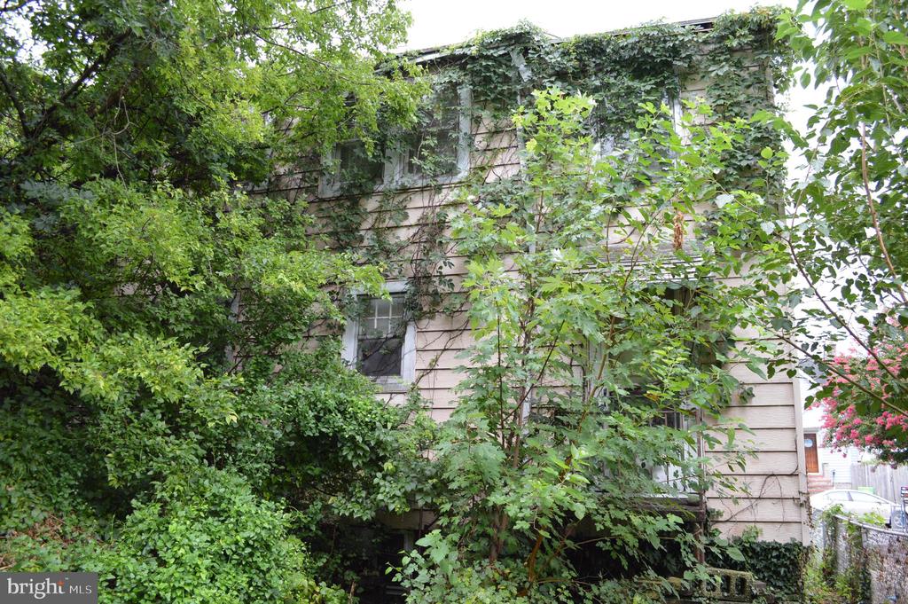 214 MAPLE AVENUE