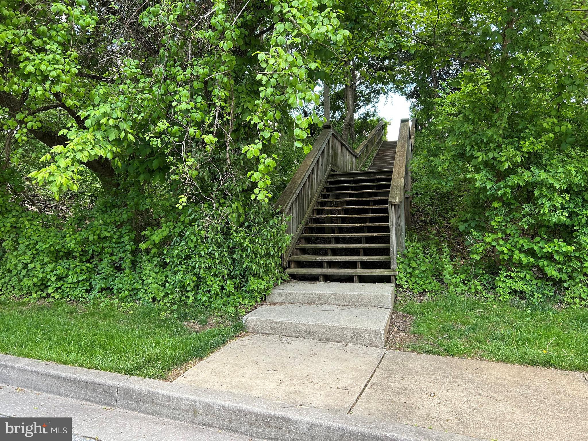 48 WHIPS LANE 24