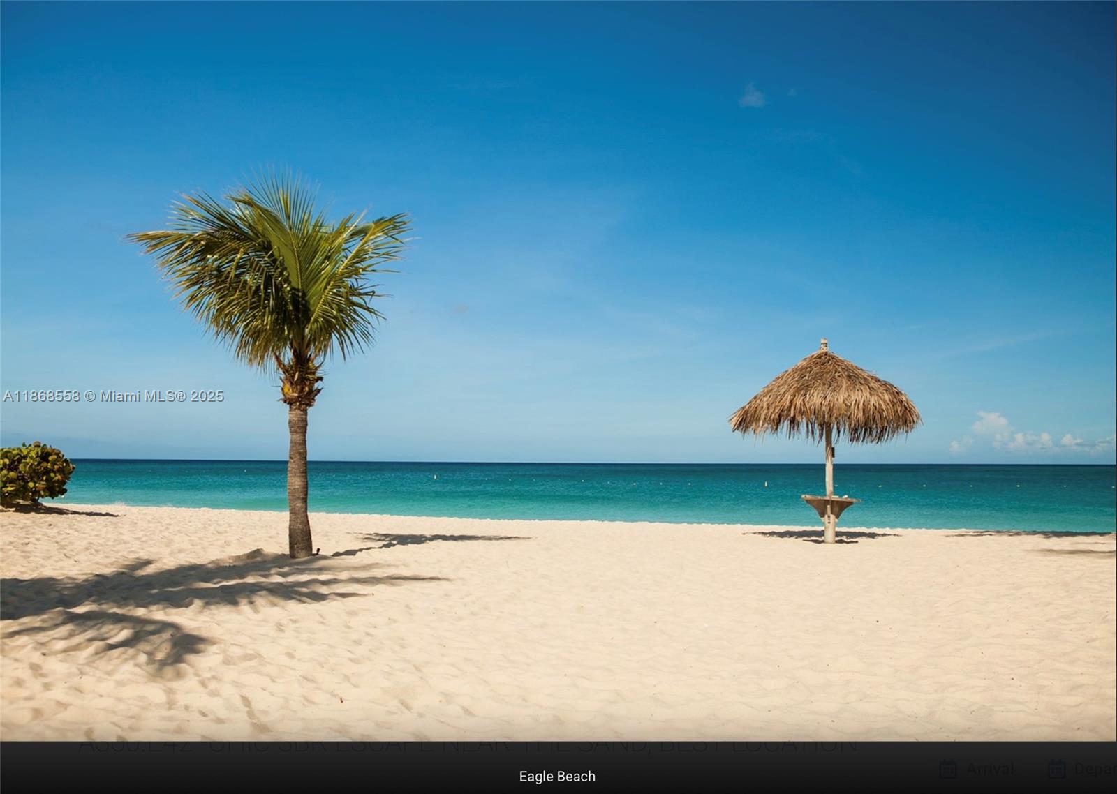 1 Irausquin Blvd Eagle beach Aruba # 4B