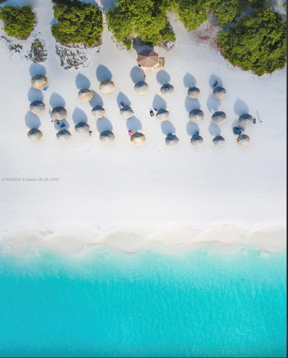 1 Irausquin Blvd Eagle beach Aruba # 4B