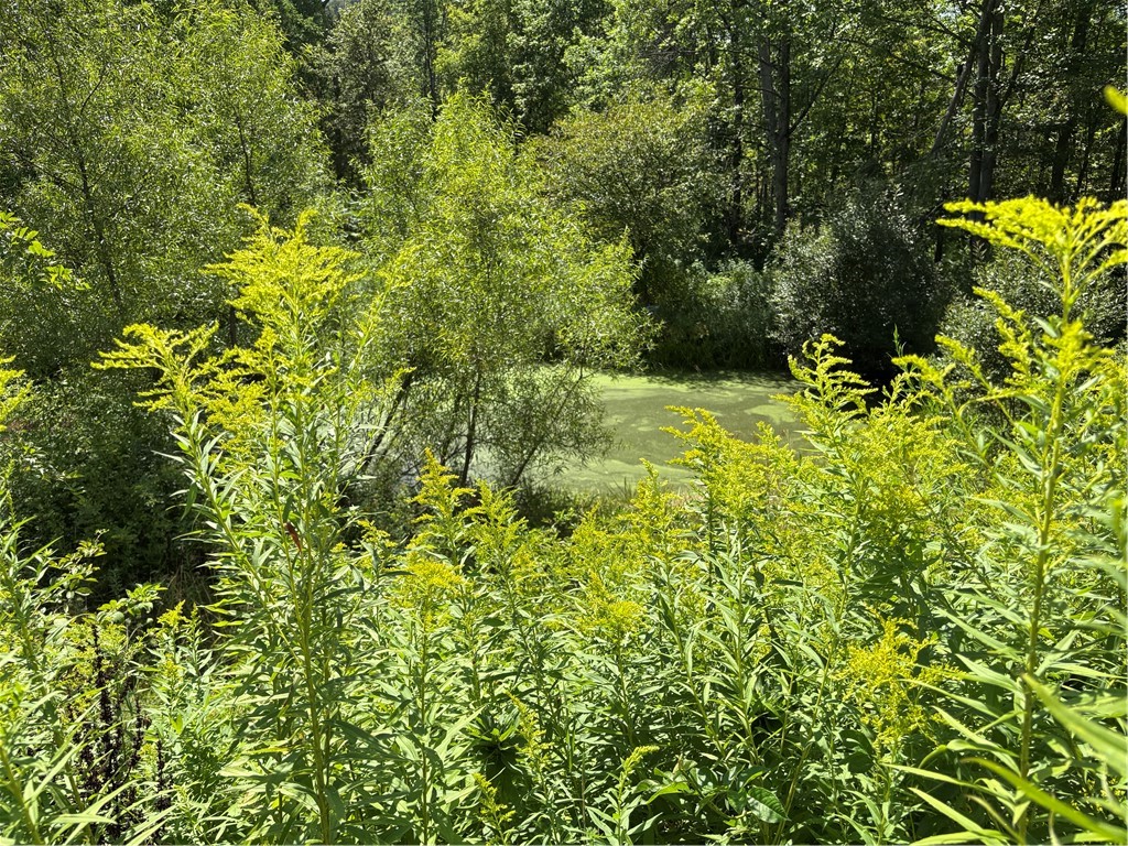 222 Rockefeller Road