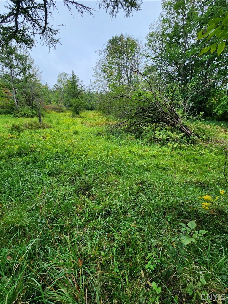 0 Lot #1 Cortland Road
