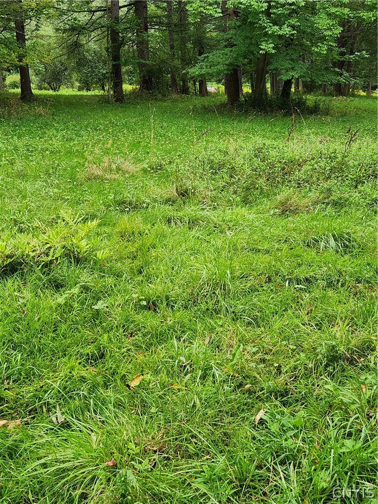 0 Lot2 Cortland Road