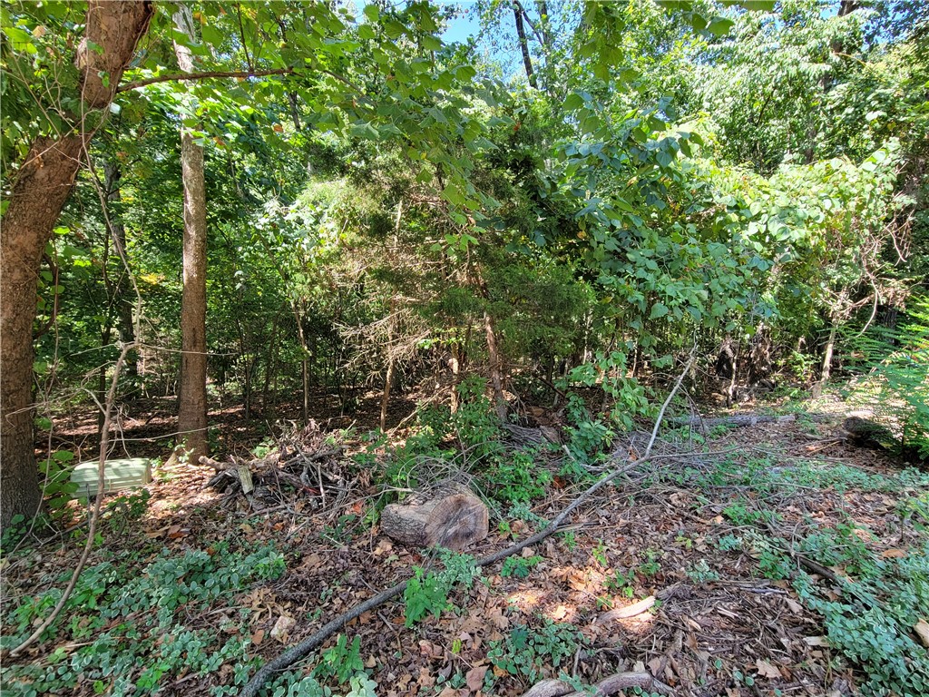 Morganshire Drive