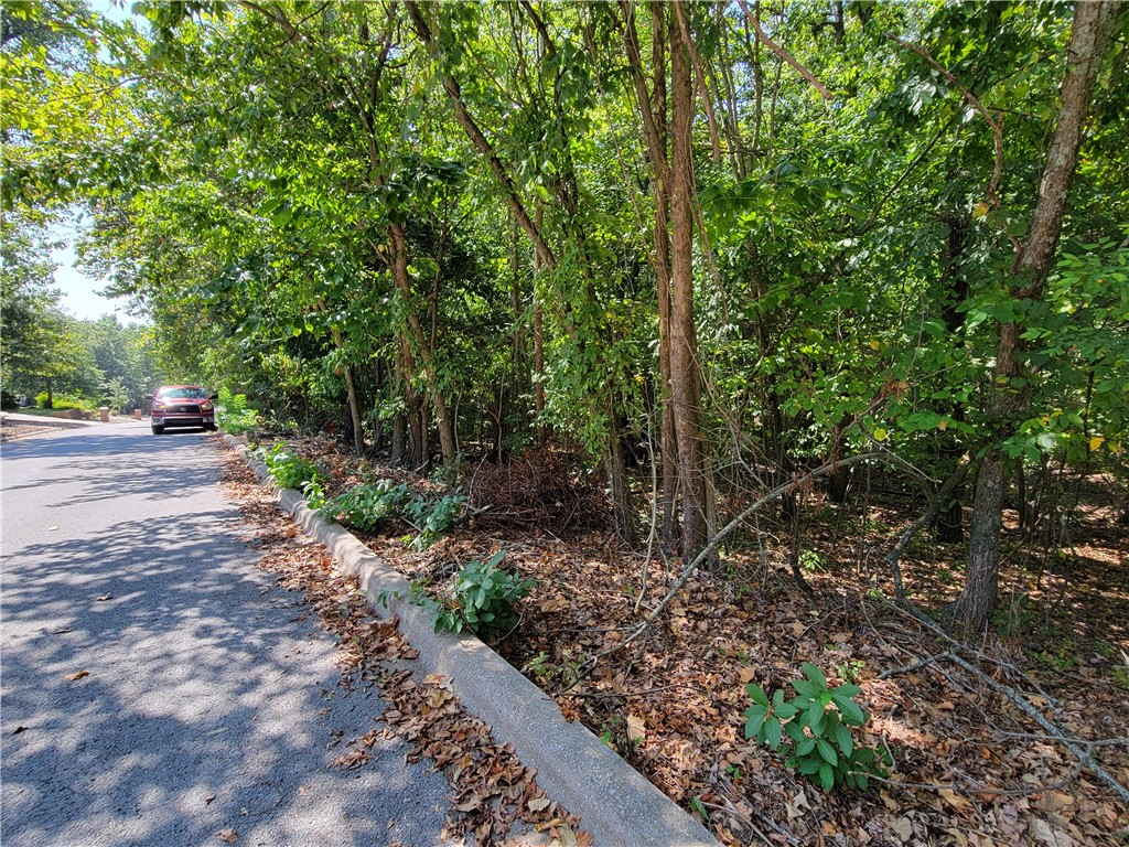 Morganshire Drive