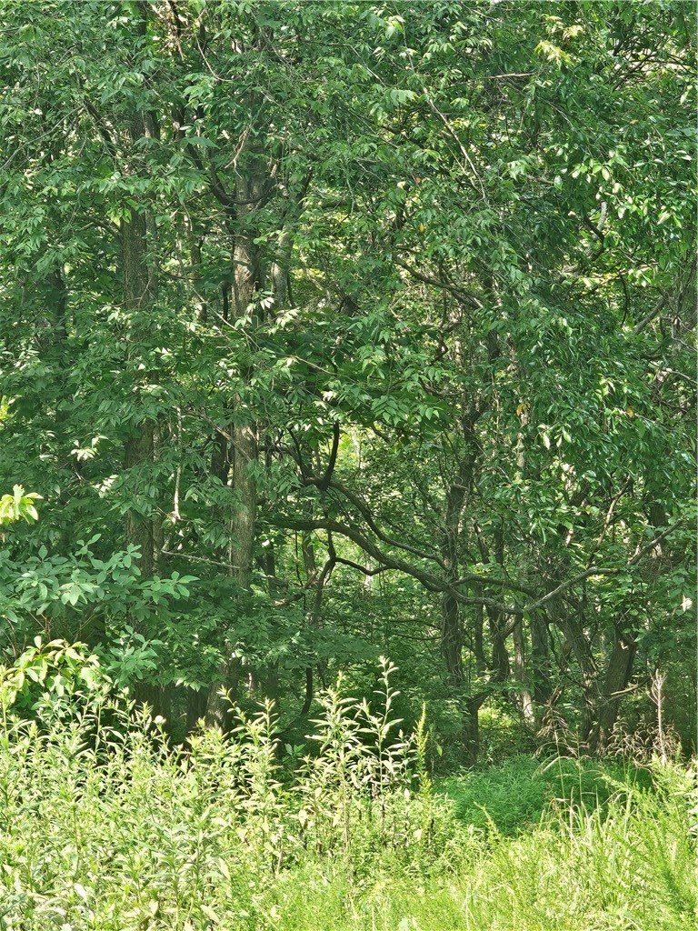Lot 16 Block 4 Leola Lane