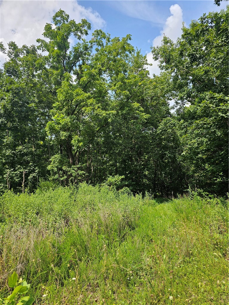 Lot 16 Block 4 Leola Lane