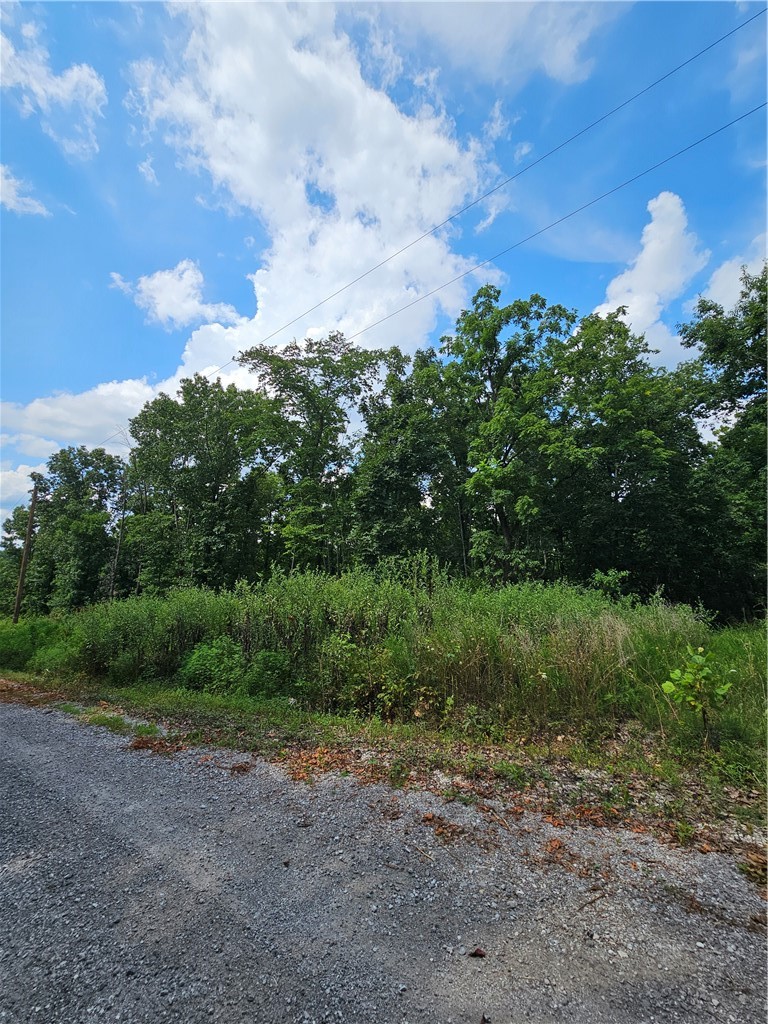 Lot 16 Block 4 Leola Lane