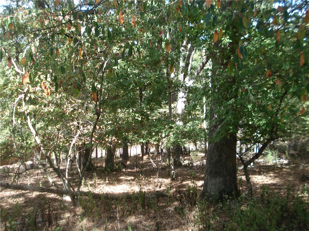 Condry Lane