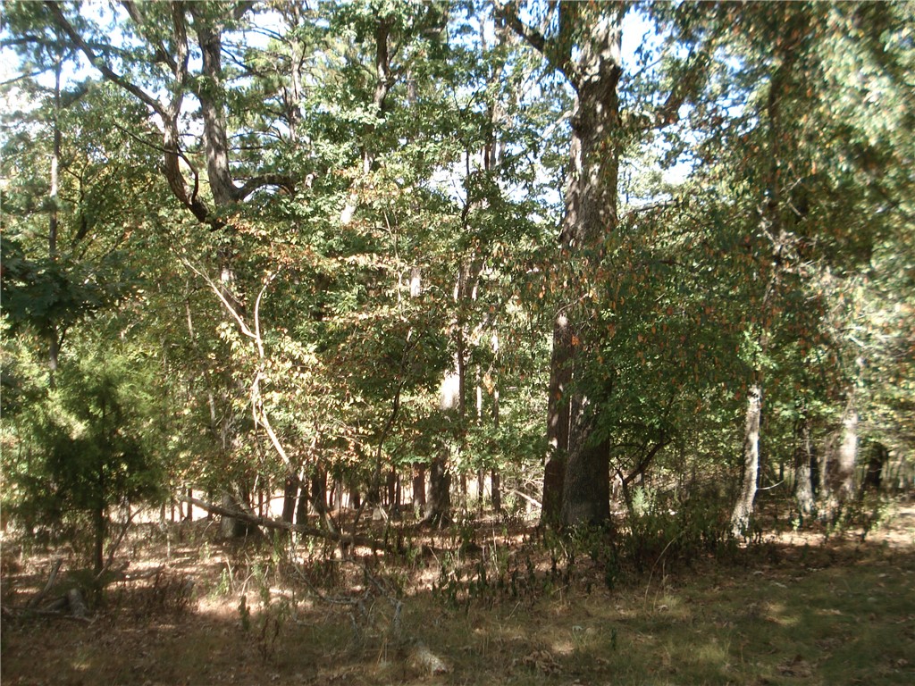 Condry Lane