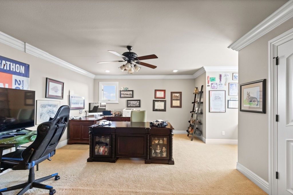 4508 Midnight Drive