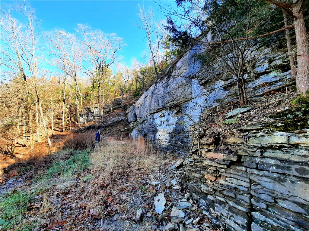 23.26 Acres McKnight Lane