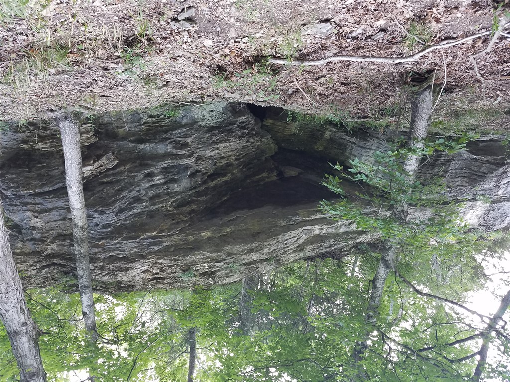 23.26 Acres McKnight Lane