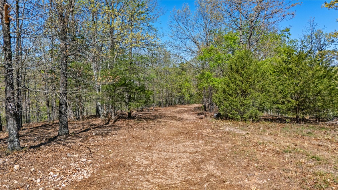 23.26 Acres McKnight Lane