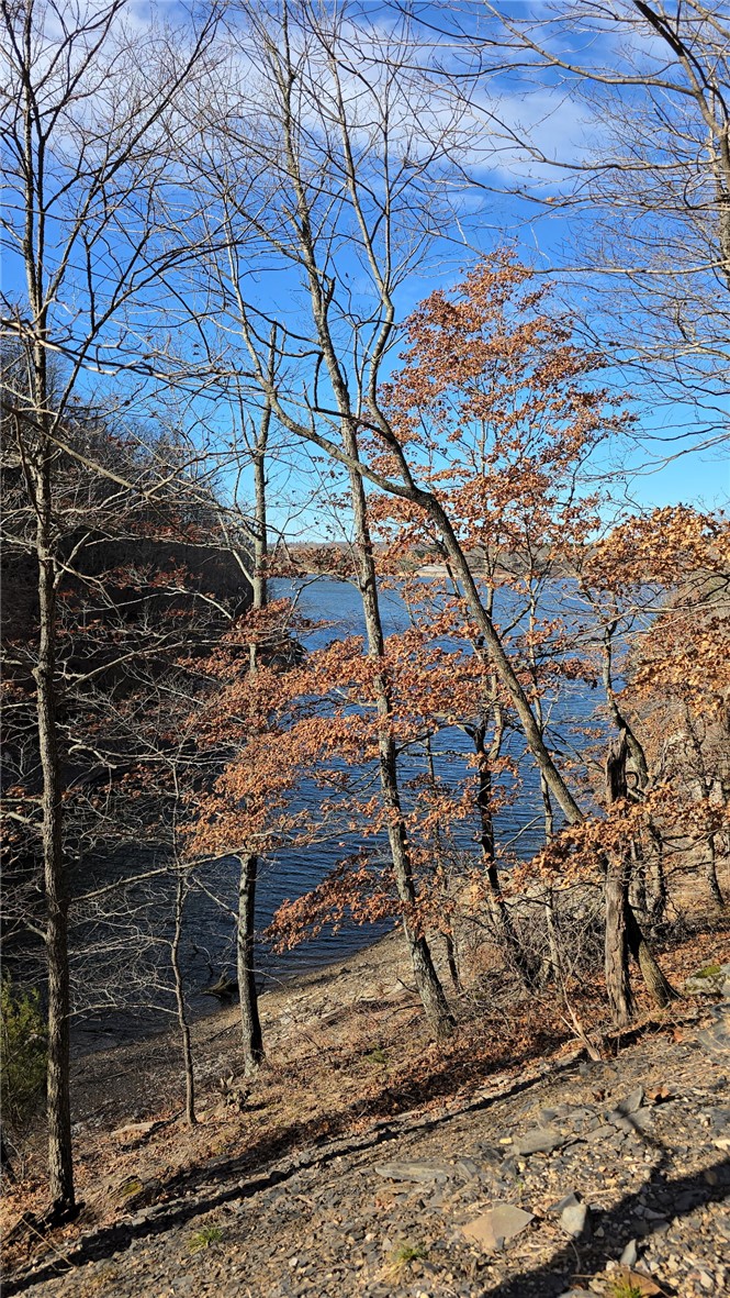 23.26 Acres McKnight Lane