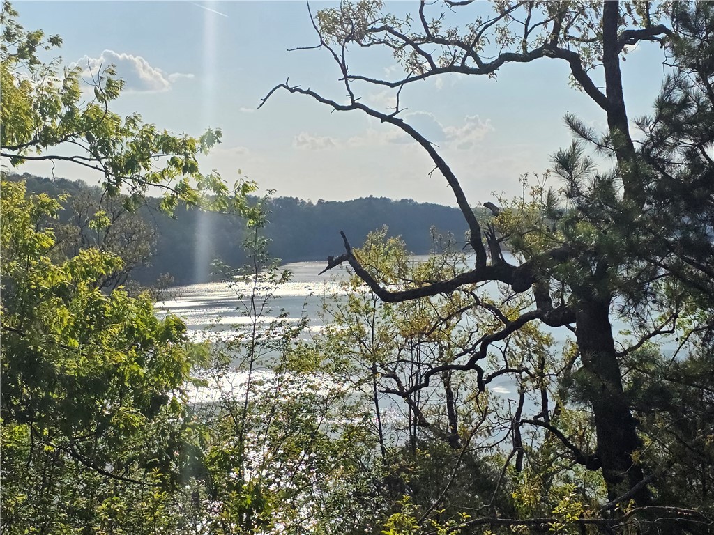 23.26 Acres McKnight Lane