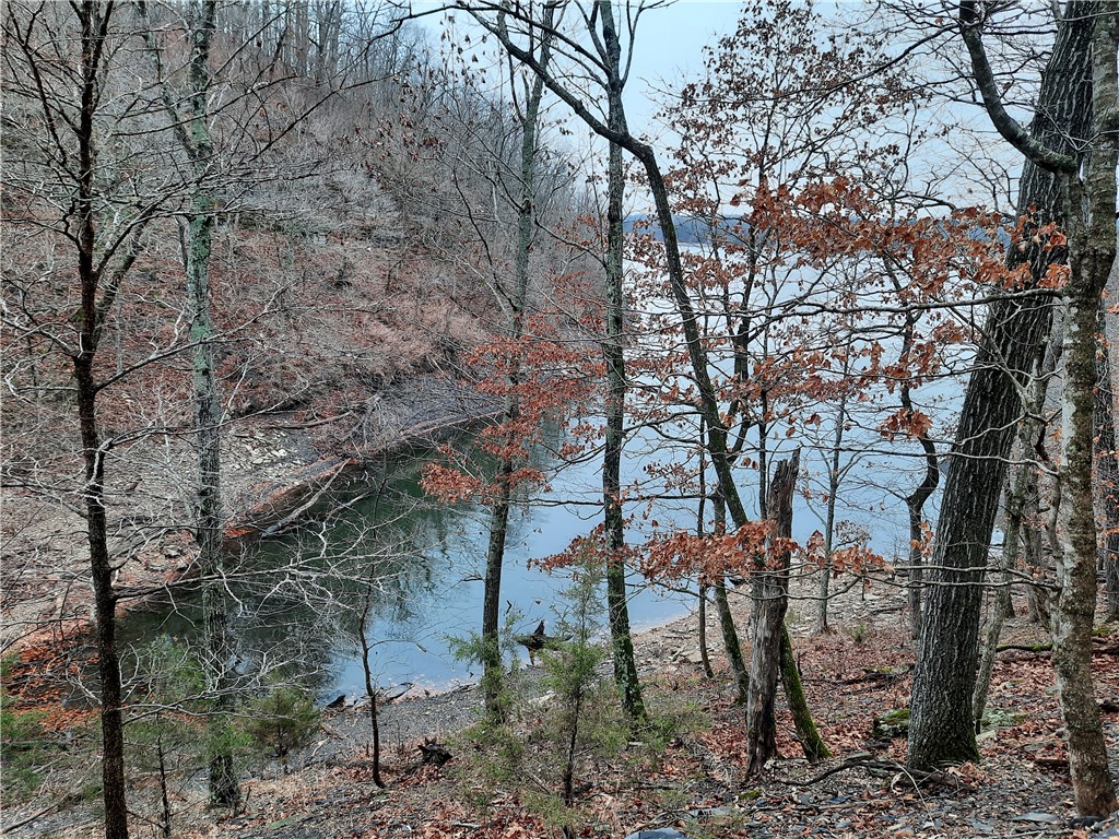 23.26 Acres McKnight Lane