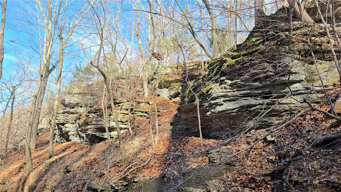 23.26 Acres McKnight Lane