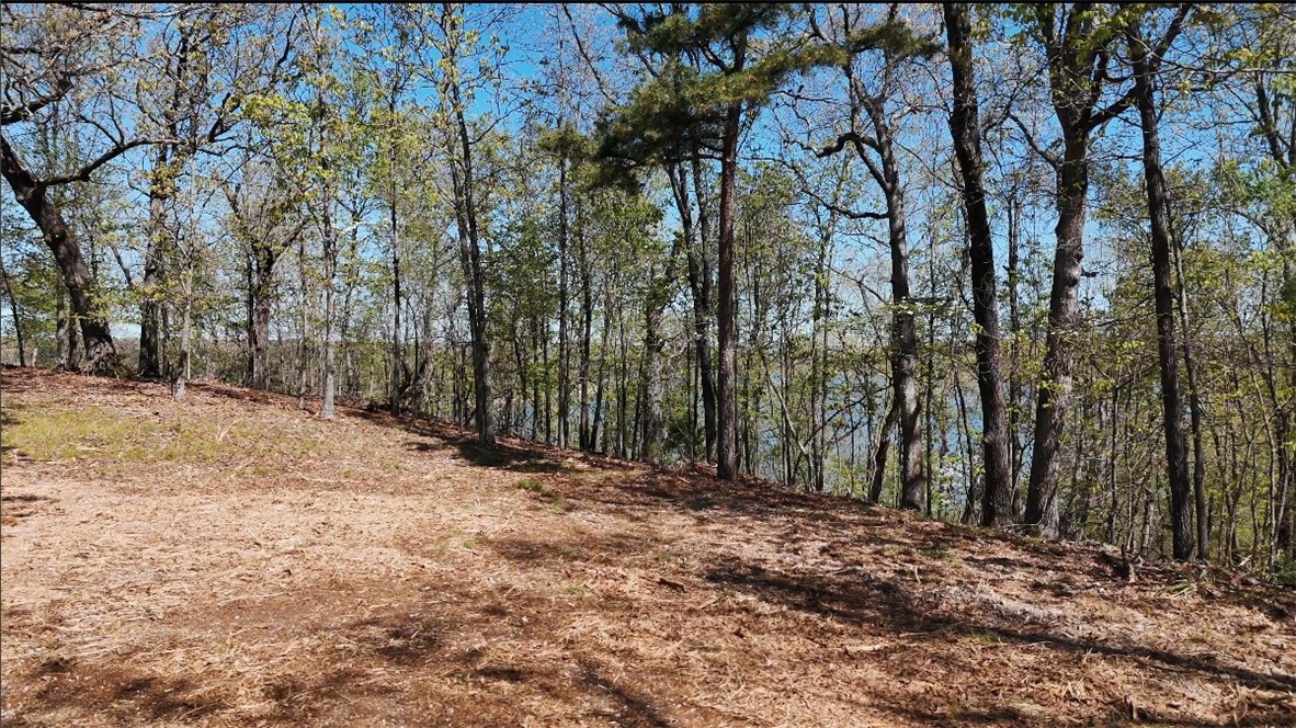 23.26 Acres McKnight Lane