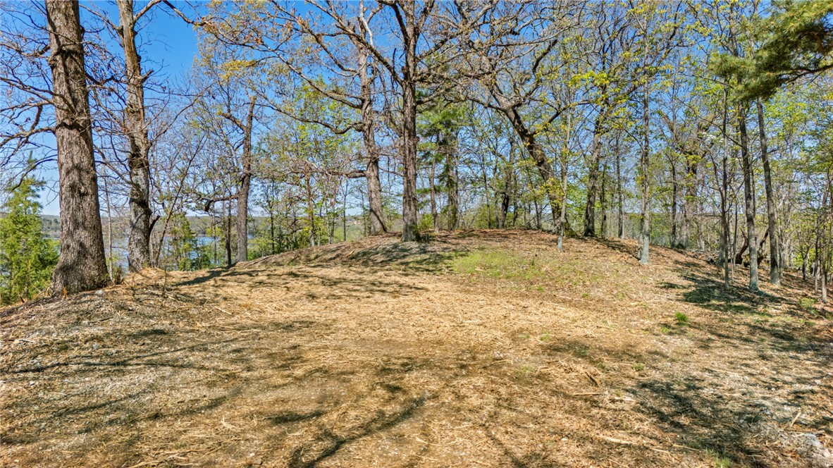 23.26 Acres McKnight Lane