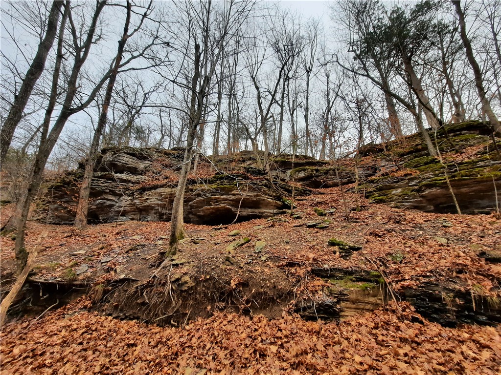 23.26 Acres McKnight Lane