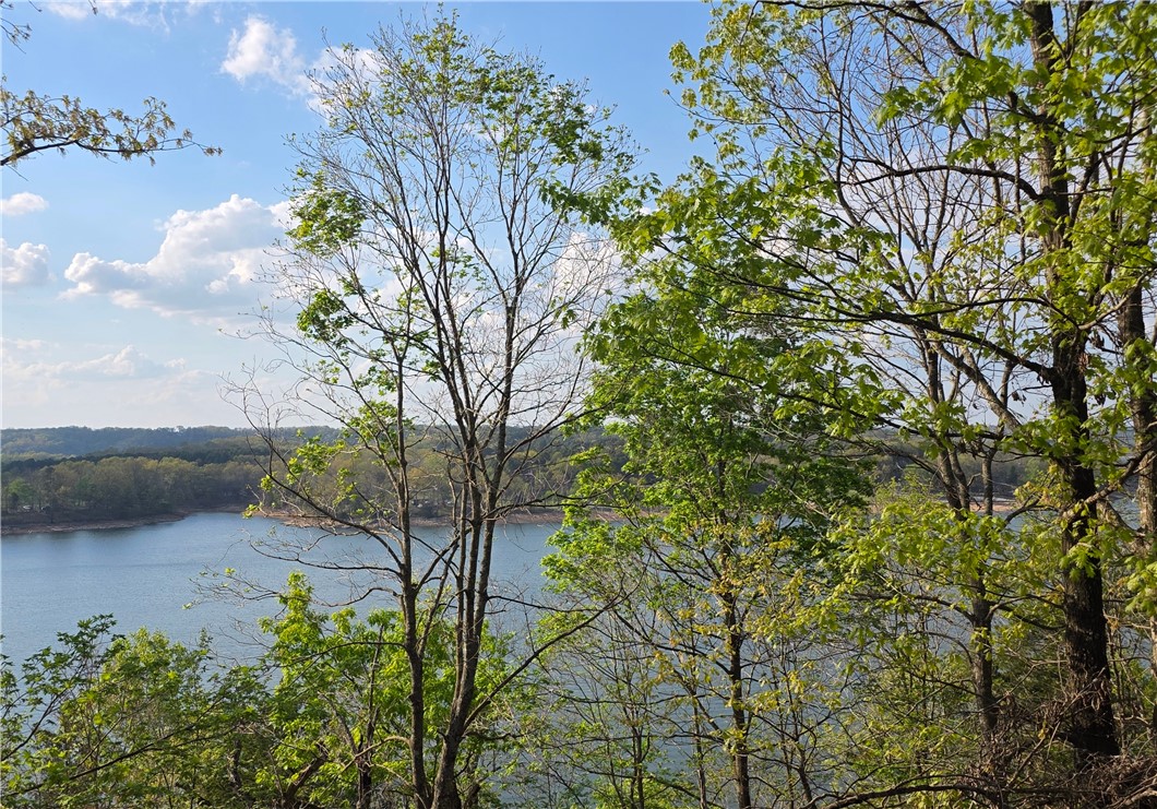 23.26 Acres McKnight Lane