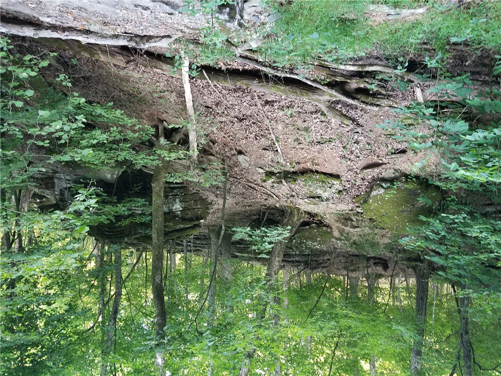 23.26 Acres McKnight Lane